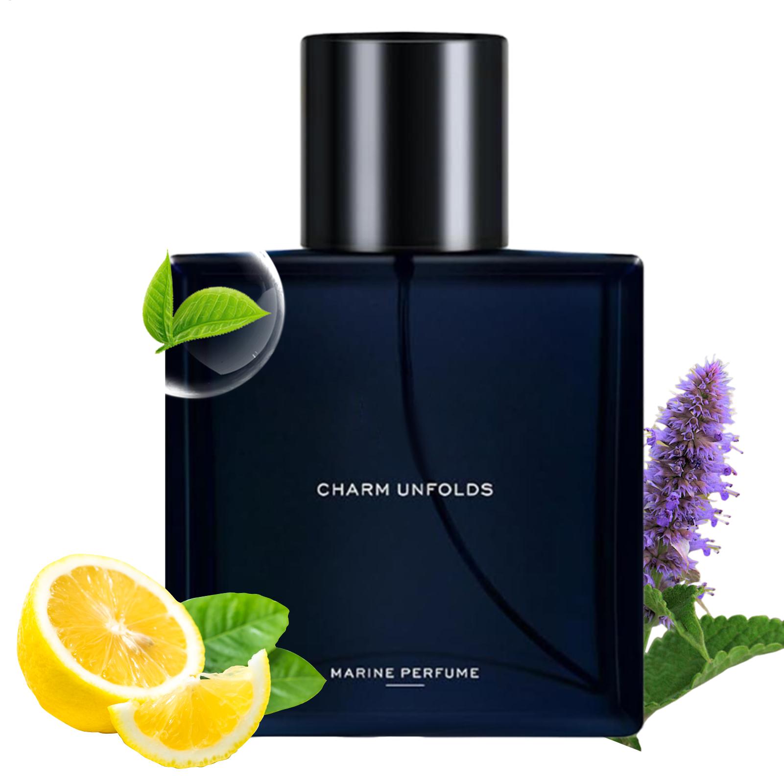 Perfume Fragrance Hair Spray - Parfums pour hommes EDT Spray naturel