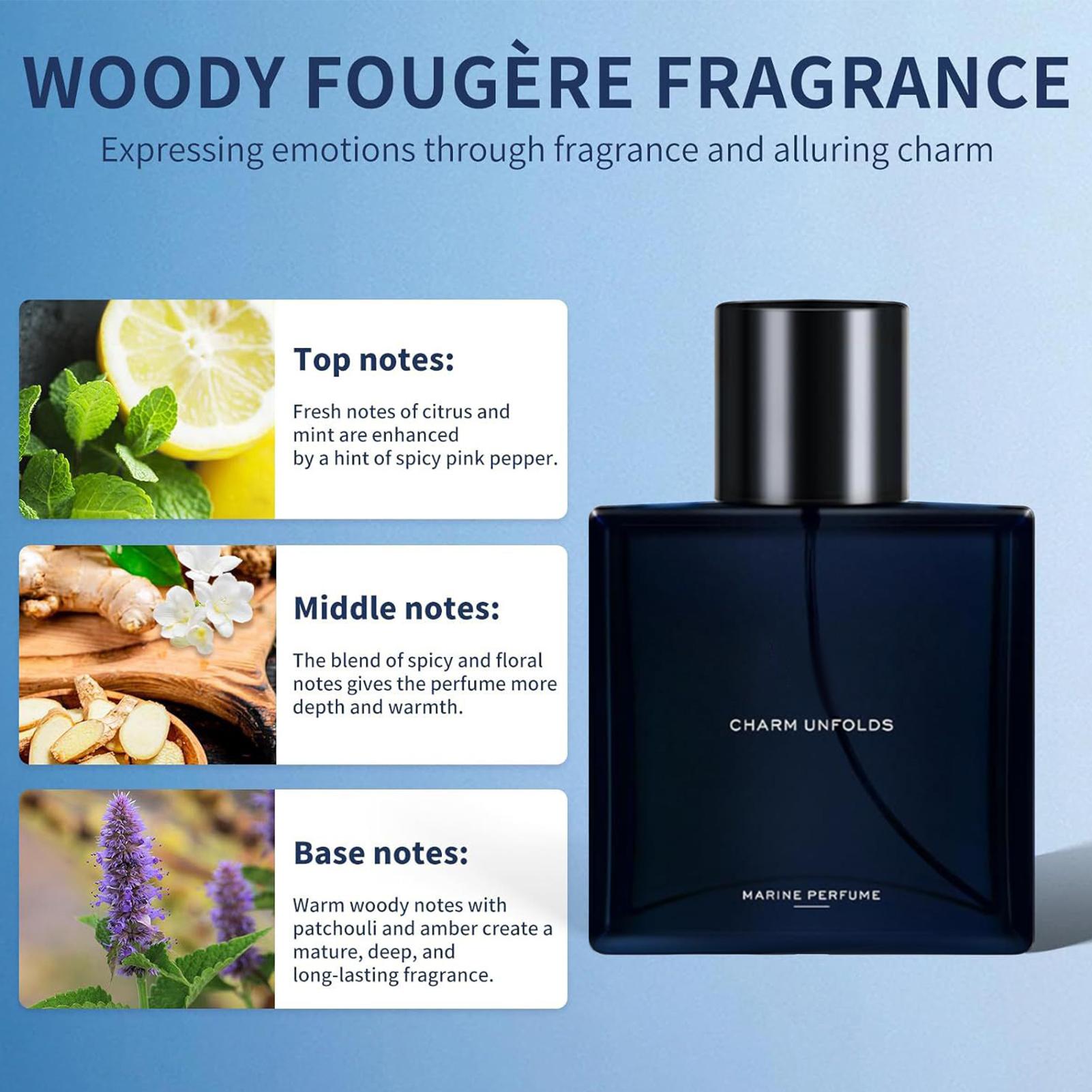 Parfums pour hommes EDT Spray  - Perfume Fragrance Hair Spray avis et prix