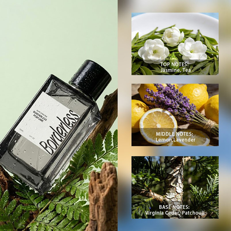 Parfum pour homme de luxe sans - Fragrance Perfume For Man avis et prix